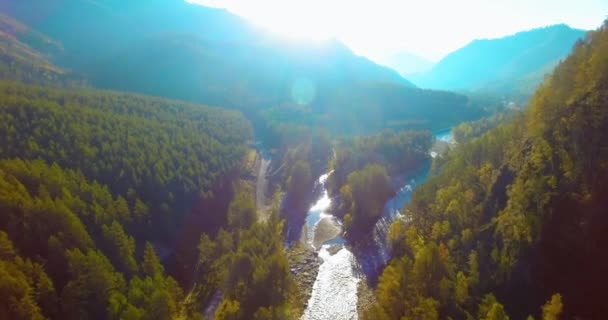 Vôo a meio do ar sobre o rio e o prado frescos da montanha na manhã ensolarada do verão. Estrada de terra rural abaixo. — Vídeo de Stock