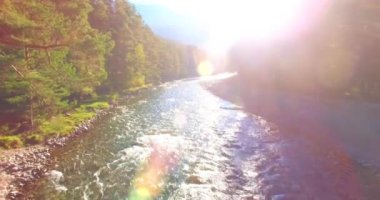 Güneşli yaz sabahında kayalarla birlikte taze, hızlı dağ nehri üzerinde alçak irtifa uçuşu..