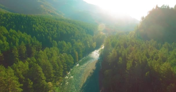 Lot na niskiej wysokości nad rzeką szybką, świeżą górską rzeką z kamieniami w słoneczny letni poranek. — Wideo stockowe