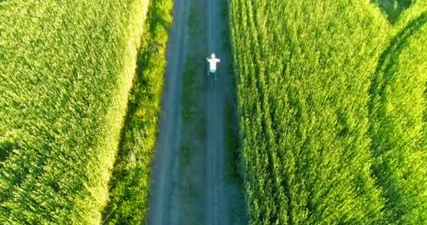 Aerial view on young boy, that rides a bicycle thru a wheat grass field on the old rural road. Sunlight and beams. — Stock Video