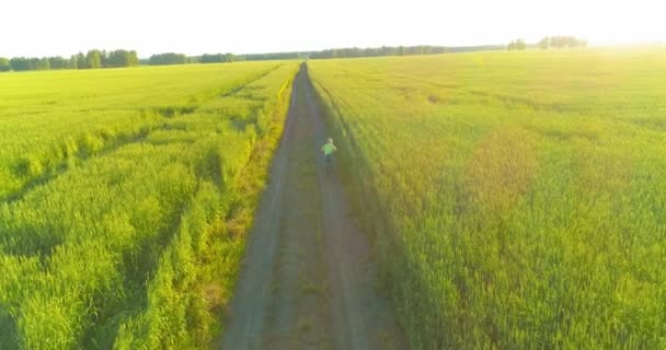 Flygfoto på ung pojke, som rider en cykel genom ett vete gräs fält på den gamla landsvägen. Solljus och strålar. — Stockvideo