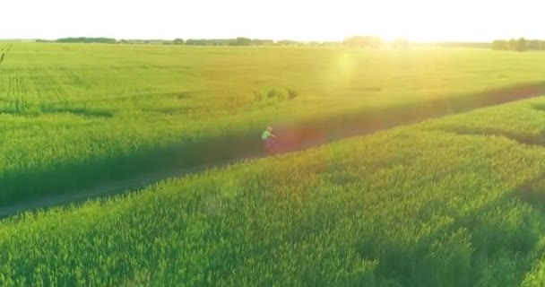 Luftaufnahme eines kleinen Jungen, der mit dem Fahrrad durch ein Weizengrasfeld auf der alten Landstraße fährt. Sonnenlicht und Sonnenstrahlen. — Stockvideo