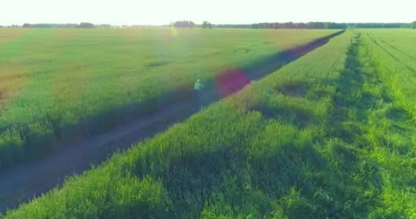 Pemandangan udara pada anak muda, yang mengendarai sepeda melintasi padang rumput gandum di jalan perdesaan tua. Sinar matahari dan balok. — Stok Video