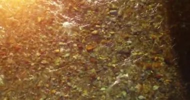 Güneşli yaz sabahında temiz ve taze bir dağ nehri üzerinde uçuşun ortasındayız. Üst görünüm ve yatay hareket