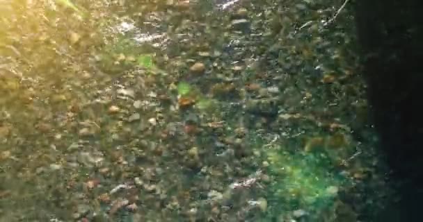 Vuelo en medio del aire sobre un río de montaña fresco y limpio en la soleada mañana de verano. Vista superior y movimiento horizontal — Vídeo de stock