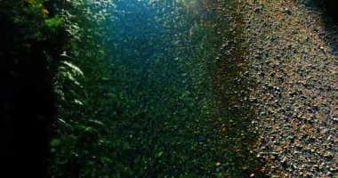 Havadan Uhd 4k görünümü. Taze dağ nehir üzerinde uçuş. Dikey yatay tilt hareketi olarak.