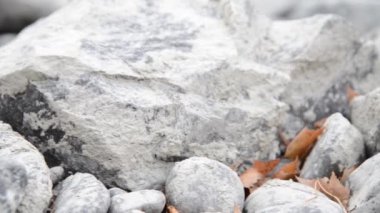 Dolly ormanın yakınındaki bir dağ nehrinde akan suyun kaygan görüntüsü. Islak kayalar ve güneş ışınları. Yatay sabit hareket.