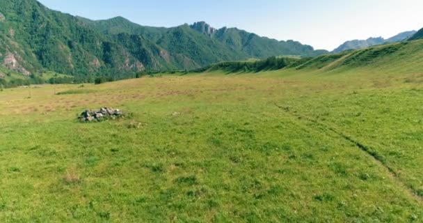 Vuelo sobre el rebaño de caballos salvajes en el prado. Primavera montañas naturaleza salvaje. Concepto de ecología de libertad. — Vídeos de Stock