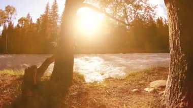 Dağ nehri kıyısındaki çayır. Yeşil çimlerle, çam ağaçlarıyla ve güneş ışınlarıyla kaplı bir manzara. Motorlu kaydırma kulesinde hareket.