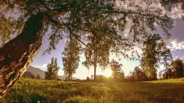 Berg äng Time-lapse på sommaren eller höst tiden. Vild natur och landsbygd. Motoriserad Slider Dolly rörelse. — Stockvideo