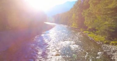 Güneşli yaz sabahında kayalarla birlikte taze, hızlı dağ nehri üzerinde alçak irtifa uçuşu..