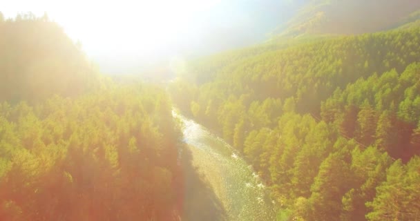 Tiefflug über frischen schnellen Gebirgsfluss mit Felsen an sonnigem Sommermorgen. — Stockvideo