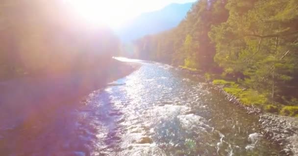 Penerbangan ketinggian rendah di atas sungai pegunungan yang segar dan cepat dengan batu di pagi musim panas yang cerah. — Stok Video