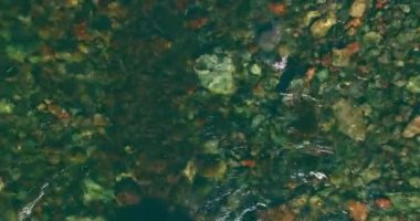 Güneşli yaz sabahında kayalarla birlikte taze, hızlı dağ nehri üzerinde alçak irtifa uçuşu..