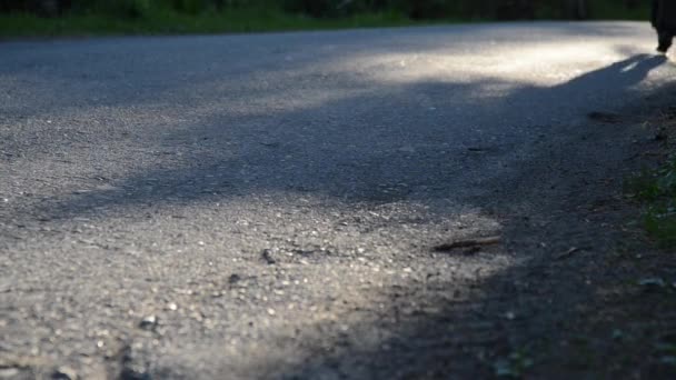 アスファルトの道路を走っているスポーツマン。農村都市公園。水平線の緑の森と太陽の光. — ストック動画