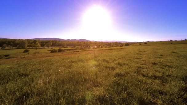 4K UHD montaña prado timelapse en el verano. Nubes, árboles, hierba verde y rayos de sol movimiento. — Vídeos de Stock
