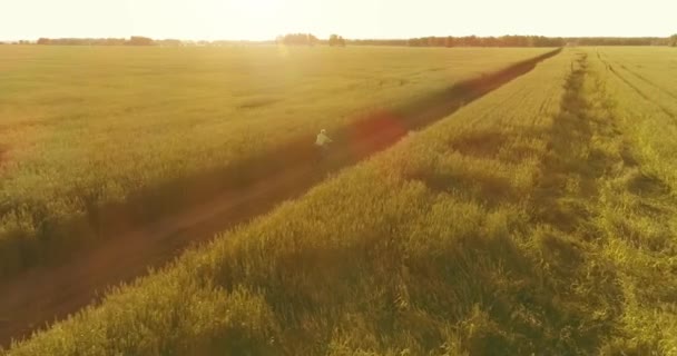 Vue aérienne sur le jeune garçon, qui monte à vélo à travers un champ d'herbe de blé sur la vieille route rurale. Lumière du soleil et rayons. — Video