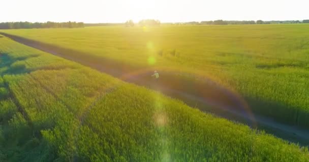 Letecký pohled na mladého chlapce, který jede na kole přes pšeničné trávníkové pole na staré venkovské silnici. Sluneční světlo a paprsky. — Stock video