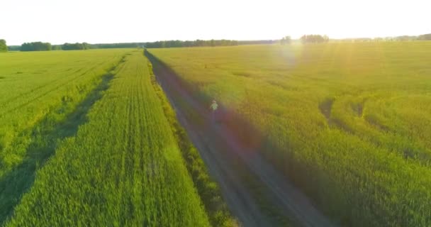 Vista aérea sobre o menino, que monta uma bicicleta através de um campo de grama de trigo na antiga estrada rural. Luz solar e vigas. — Vídeo de Stock