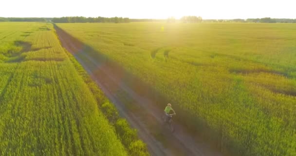 Veduta aerea sul ragazzo, che cavalca una bicicletta attraverso un campo di erba di grano sulla vecchia strada rurale. Luce solare e raggi. — Video Stock