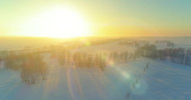 Arktik çayırlı soğuk kış manzarası, karla kaplı ağaçlar ve ufukta sabah güneşleri..