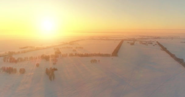 Vista aérea de drones del frío paisaje invernal con campo ártico, árboles cubiertos de nieve helada y rayos de sol matutinos sobre el horizonte. — Vídeos de Stock