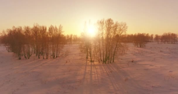 Vista aérea de drones del frío paisaje invernal con campo ártico, árboles cubiertos de nieve helada y rayos de sol matutinos sobre el horizonte. — Vídeos de Stock