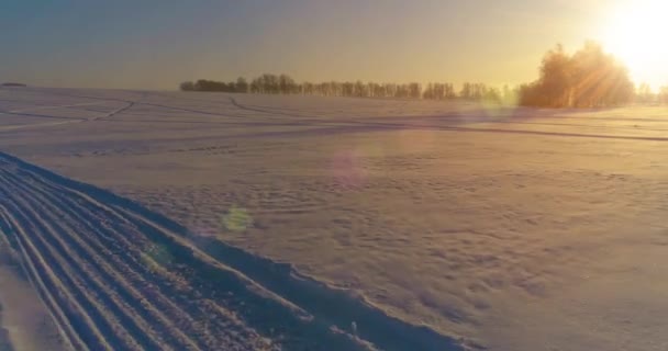 Aerial drone view of cold winter landscape with arctic field, trees covered with frost snow and morning sun rays over horizon. — Stock Video