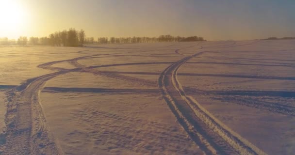 Aerial drone view of cold winter landscape with arctic field, trees covered with frost snow and morning sun rays over horizon. — Stock Video