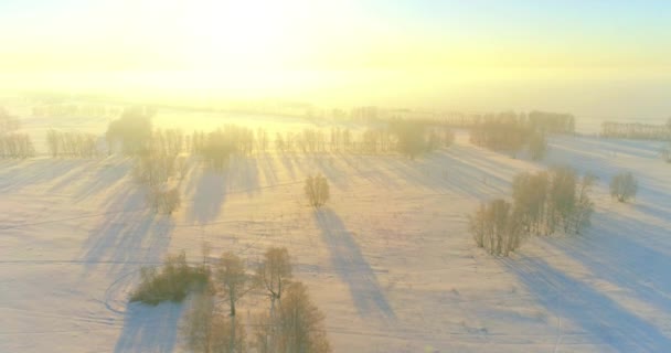 Luchtfoto drone uitzicht op koud winterlandschap met poolveld, bomen bedekt met vorst sneeuw en ochtendzon stralen over horizon. — Stockvideo