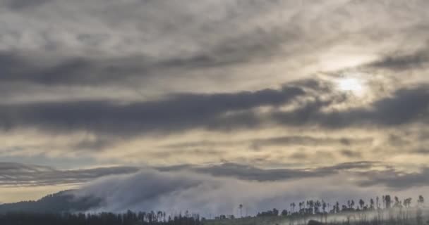 山の中の冷たい霧の雲を通って出現する夜の太陽光線の時間経過。山霧の中の夕日. — ストック動画