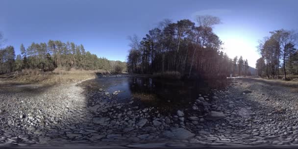 360 VR realtà virtuale di una montagna selvaggia, pineta e fiumi scorre. Parco nazionale, prato e raggi del sole. — Video Stock