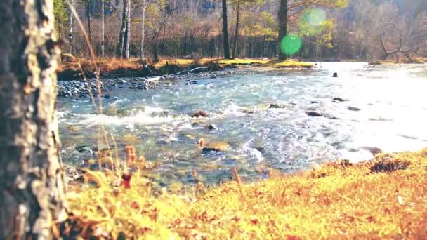 森の近くの山の川で水しぶきのドリースライダーショット。ぬれた岩や太陽の光線。水平安定運動. — ストック動画