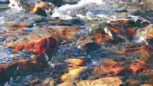 Η Ντόλι τράβηξε το νερό που πιτσιλούσε σε ένα ποτάμι κοντά στο δάσος. Υγρά βράχια και ακτίνες του ήλιου. Οριζόντια σταθερή κίνηση. — Αρχείο Βίντεο