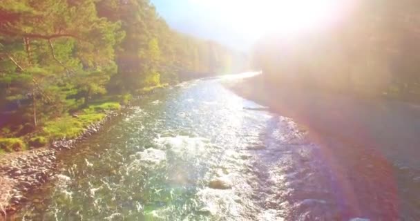 Vol à basse altitude au-dessus d'une rivière de montagne fraîche et rapide avec des rochers au soleil matin d'été. — Video