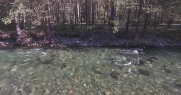 Vuelo de baja altitud sobre el río fresco de montaña rápida con rocas en la soleada mañana de verano. — Vídeo de stock