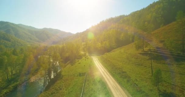 Vuelo de baja altitud sobre el río fresco de montaña rápida con rocas en la soleada mañana de verano. — Vídeos de Stock