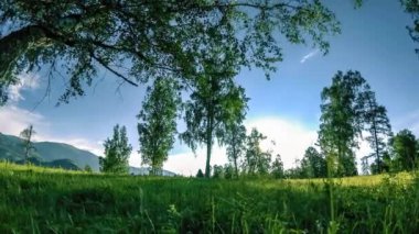 Yaz veya sonbahar aylarında dağ çayır zaman atlamalı. Vahşi doğa ve kırsal alan. Motorlu sürgü dolly hareketi.