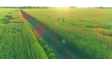 Kırsal yoldaki bir çim tarlasında bisiklet süren genç bir çocuğun hava manzarası. Güneş ışığı ve ışınlar.