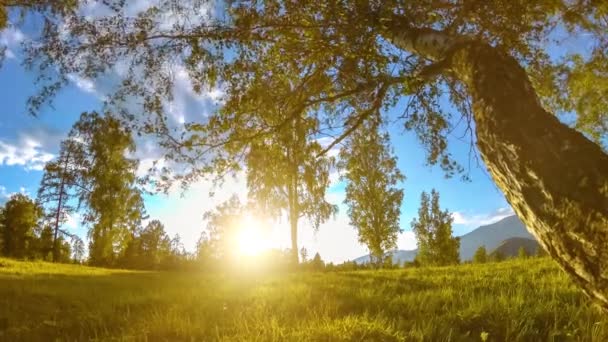 Mountain meadow time-lapse at the summer or autumn time. Wild nature and rural field. Motorised slider dolly movement. — Stock Video