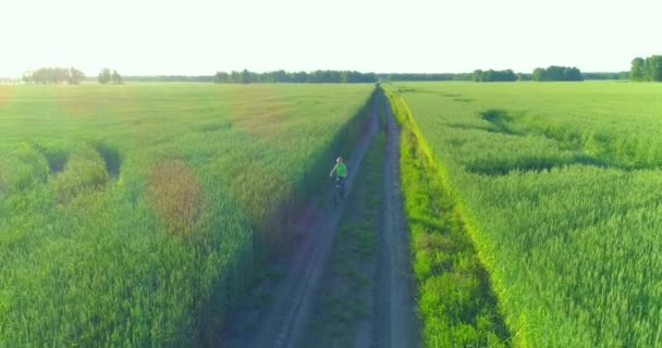 Vista aérea sobre el niño, que monta en bicicleta a través de un campo de hierba de trigo en el viejo camino rural. Luz solar y rayos. — Vídeos de Stock