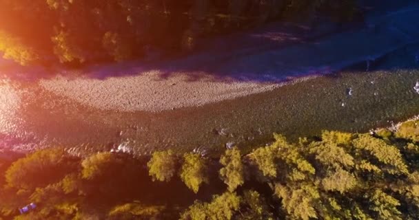 Vuelo en medio del aire sobre un río de montaña fresco y limpio en la soleada mañana de verano. Movimiento vertical — Vídeos de Stock