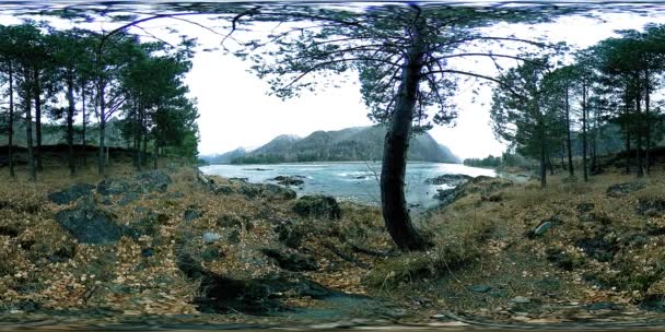 VR de un hermoso río de montaña a finales de otoño. Parque nacional, prado, ribera del río en día nublado. — Vídeos de Stock