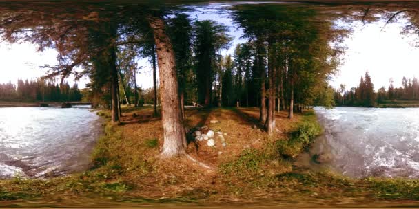 360 VR virtuális valóság egy vadon élő erdőben. Fenyőerdő, kicsi, gyors, hideg hegyi folyó. Nemzeti park. — Stock videók