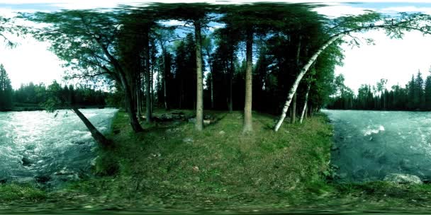 360 VR virtuell verklighet av en vild skog. Tallskog, liten snabb, kall fjällälv. National park. — Stockvideo