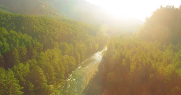 Laaggelegen vlucht over verse snelle bergrivier met rotsen op zonnige zomerochtend. — Stockvideo