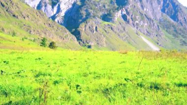 Sırt çantası ile yeşil dağ çayır üzerinde yürüyen adam hiking. Yaz spor ve eğlence kavramı.