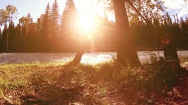 Dağ nehri kıyısındaki çayır. Yeşil çimlerle, çam ağaçlarıyla ve güneş ışınlarıyla kaplı bir manzara. Motorlu kaydırma kulesinde hareket.