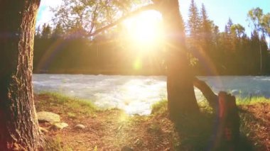 Dağ nehri kıyısındaki çayır. Yeşil çimlerle, çam ağaçlarıyla ve güneş ışınlarıyla kaplı bir manzara. Motorlu kaydırma kulesinde hareket.