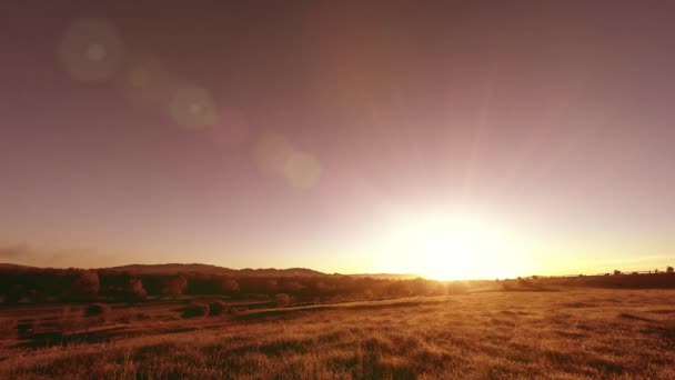 4K UHD gunung padang rumput tiLapse di musim panas. Awan, pohon, rumput hijau dan sinar matahari gerakan. — Stok Video